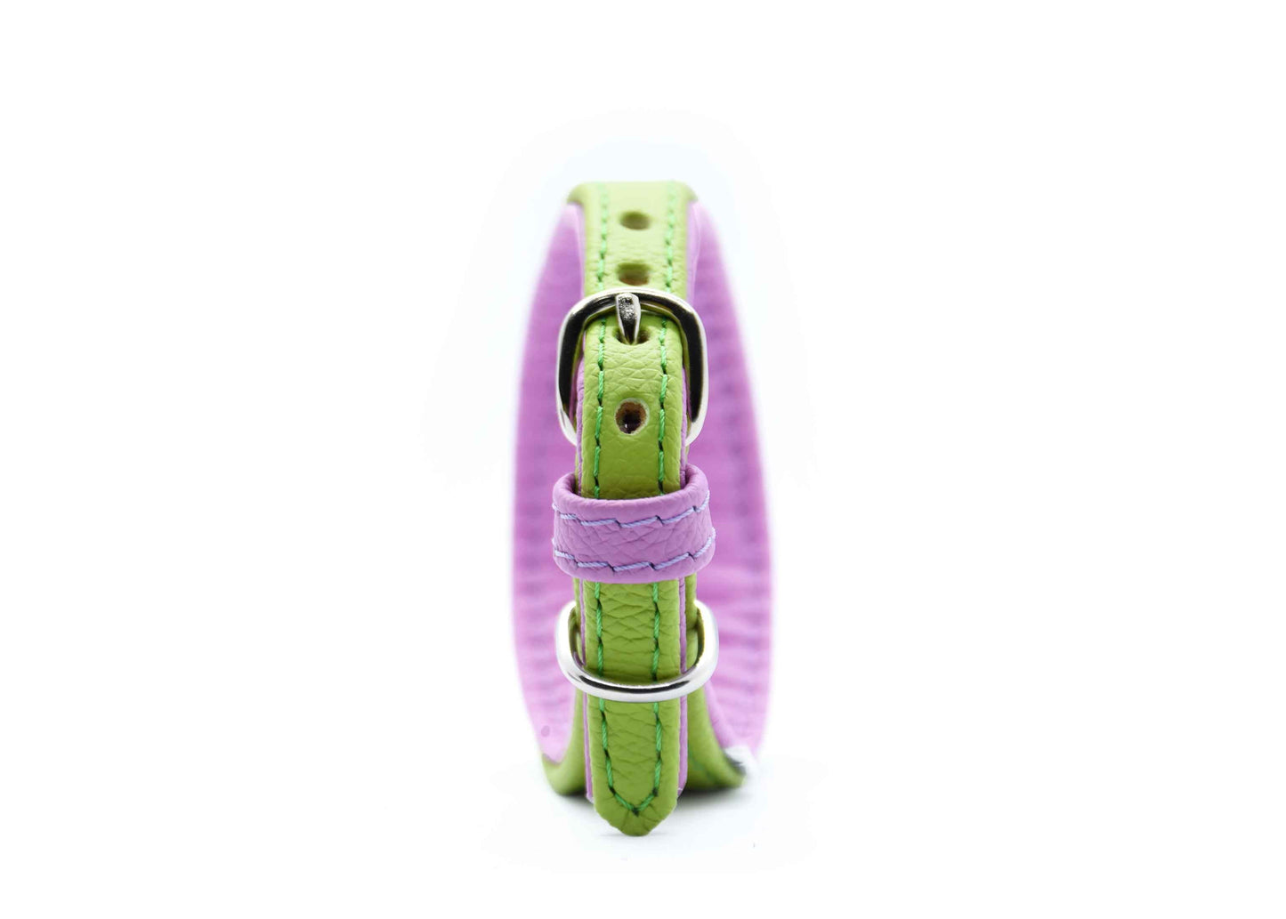 MINI BASIC- Breites Windhundhalsband für Kleinhunde/ Italienische Windspiele
