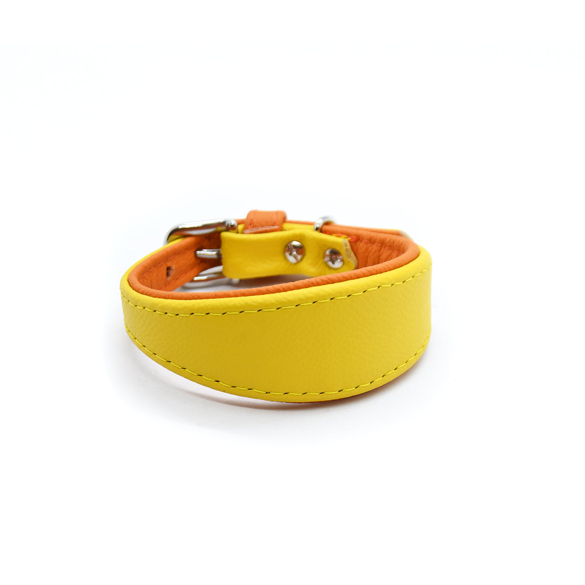 MINI BASIC- Breites Windhundhalsband für Kleinhunde/ Italienische Windspiele