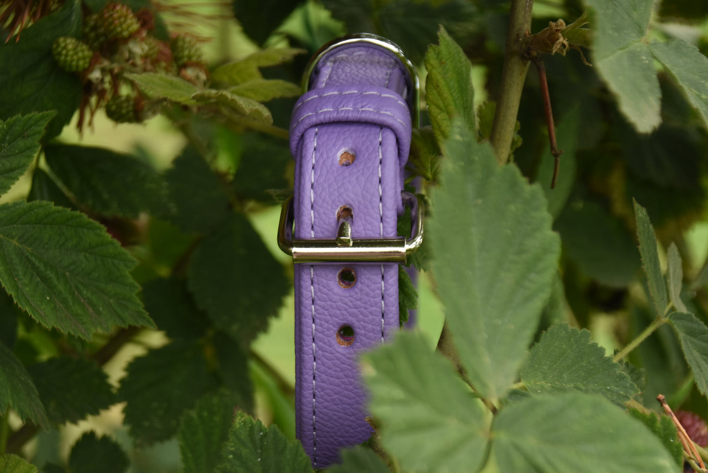 BASIC Hundehalsband・Bio-Nappaleder・Maßgefertigtes Hundehalsband