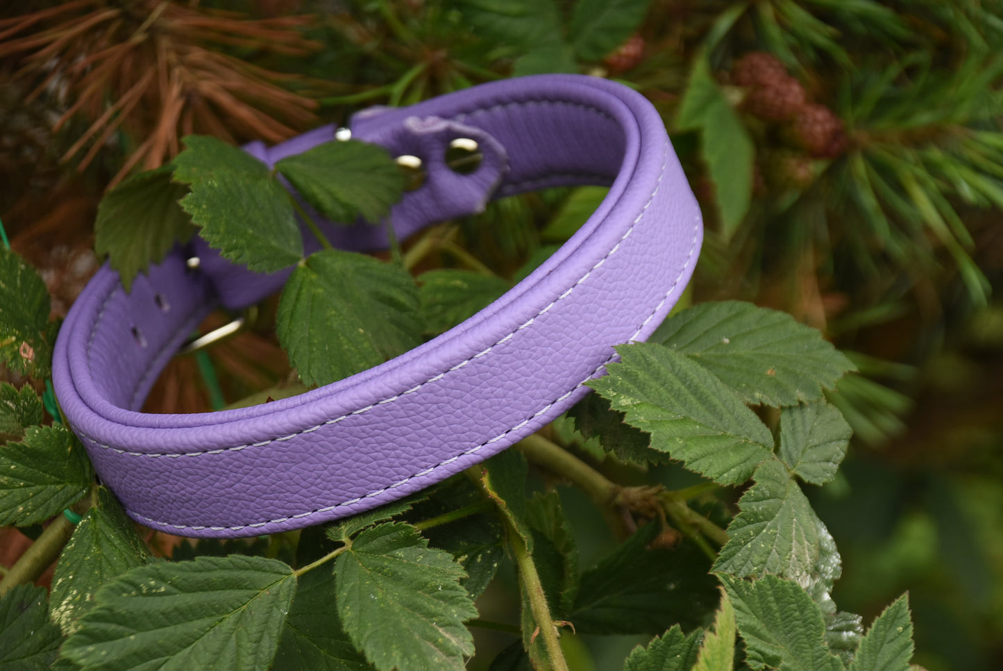BASIC Hundehalsband・Bio-Nappaleder・Maßgefertigtes Hundehalsband