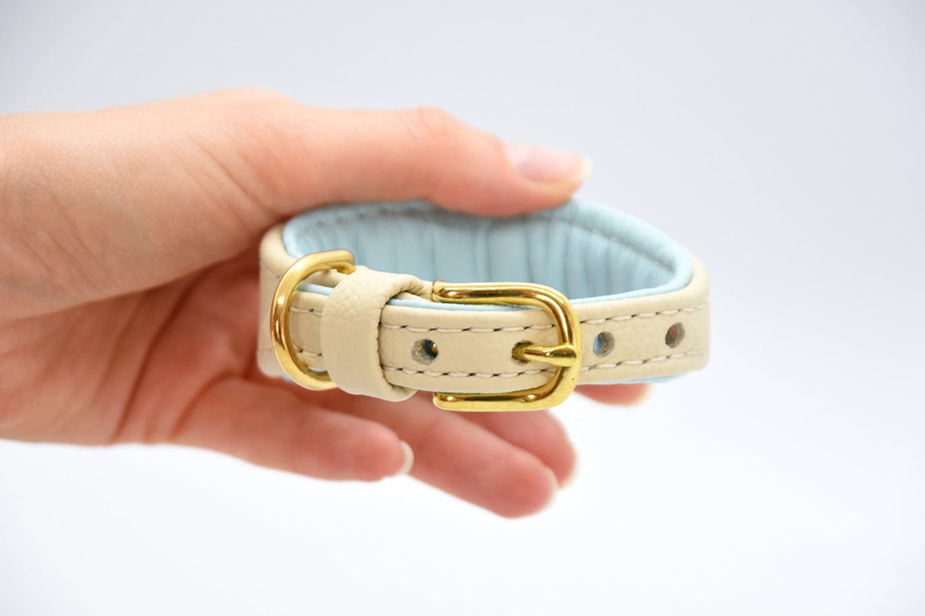 MINI BASIC- Breites Windhundhalsband für Kleinhunde/ Italienische Windspiele