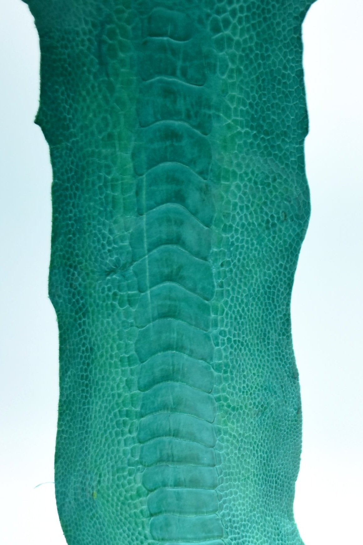 Straußenbeinleder türkis