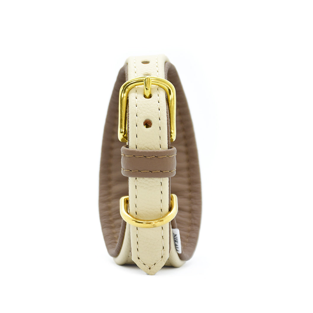 Windhundhalsband mit Edelstahlbeschlägen und Polsterung- creme
