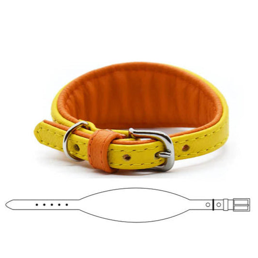 MINI BASIC- Breites Windhundhalsband für Kleinhunde/ Italienische Windspiele