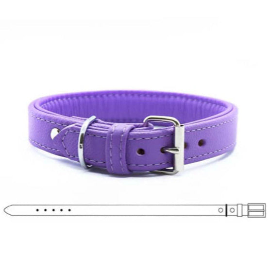 BASIC Hundehalsband・Bio-Nappaleder・Maßgefertigtes Hundehalsband