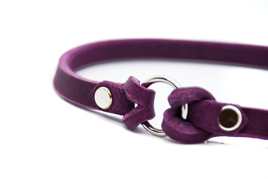 Nahaufnahme eines handgefertigten Markenhalsbands aus butterweichem Fettleder für Hunde.