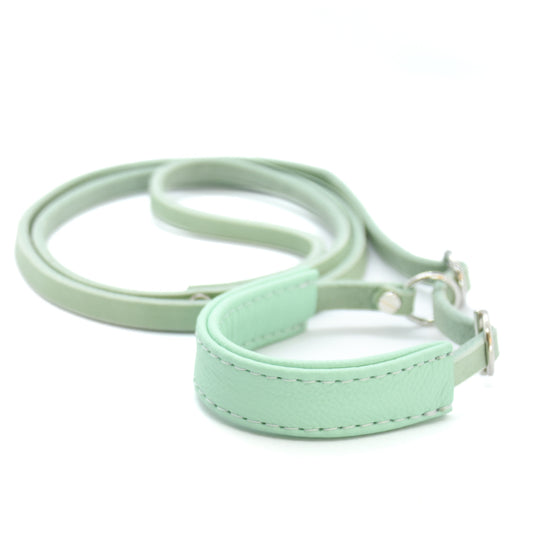 Showleine mit Kehlkopfschutz • Ausstellungsleine für Hundeshows