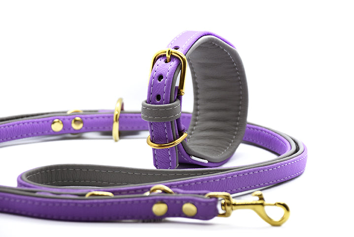 Premium Windhund Set aus Leder • Halsband & Leine handgemacht