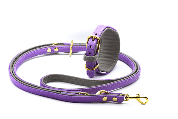 Premium Windhund Set aus Leder • Halsband & Leine handgemacht