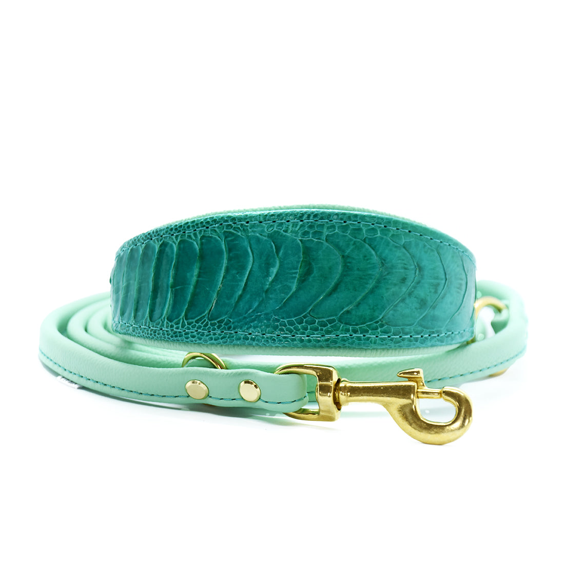 Luxuriöses Lederhalsband aus exotischem Straußenbeinleder mit glänzendem Finish und stabiler Metallschließe