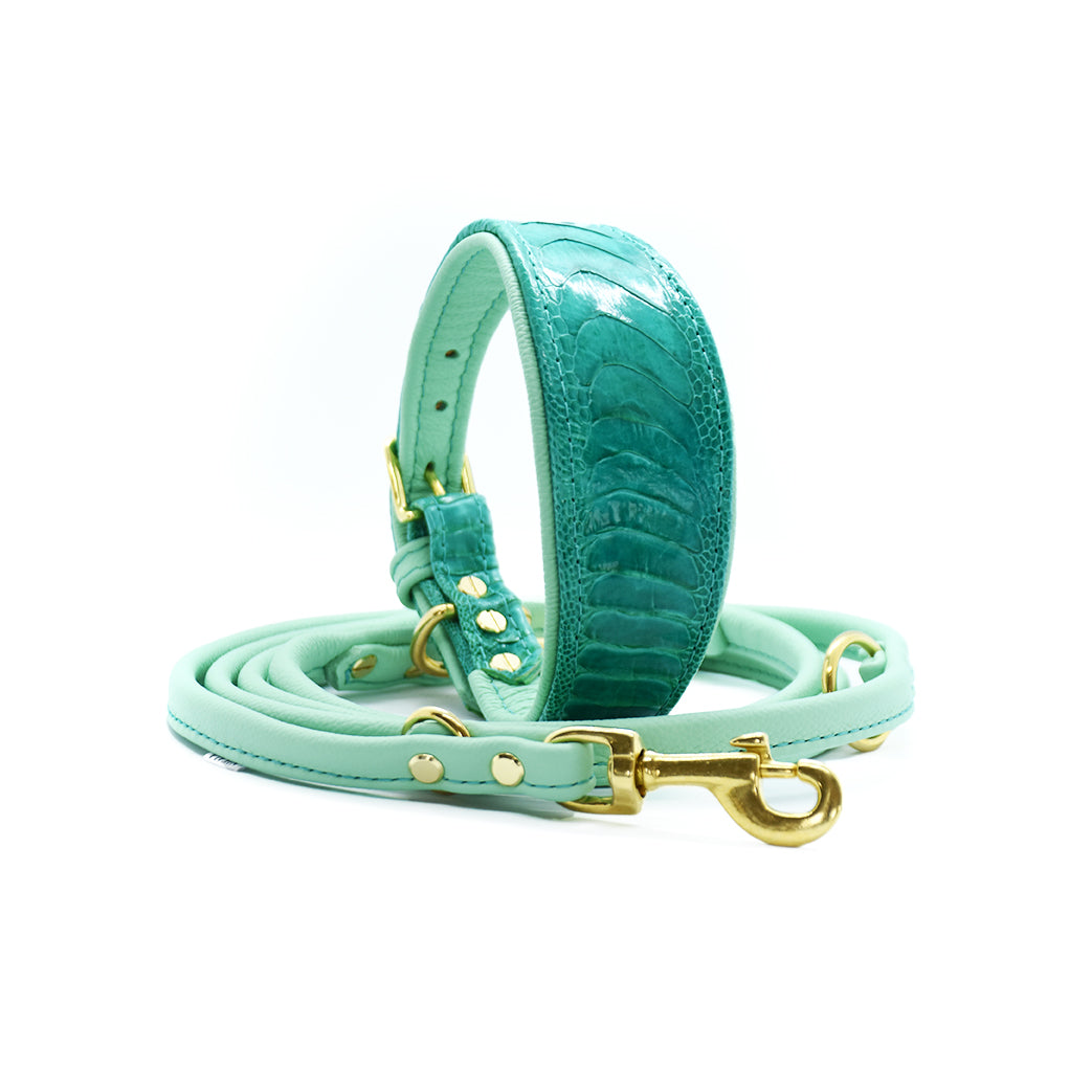 Edles Hundehalsband aus Straußenbeinleder in türkis Farbton – stilvolles Accessoire für anspruchsvolle Hundehalter:innen.