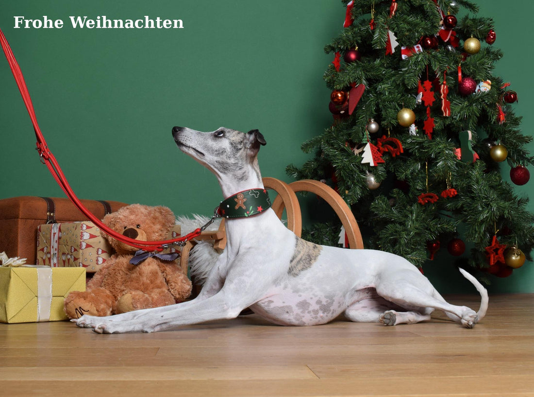 Frohe Weihnachten und guten Rutsch!