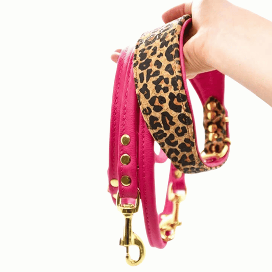 LEO Set | Windhundhalsband aus Leder & verstellbare Rundlederleine