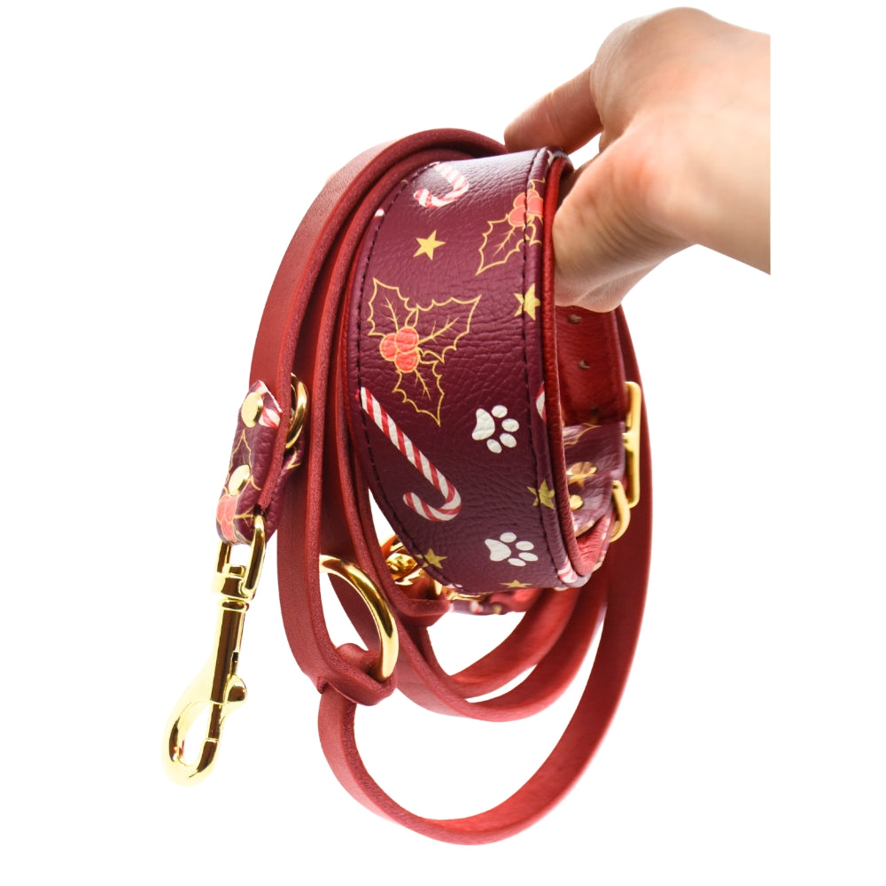 Christmas Edition 2025 Set Halsband & Leine