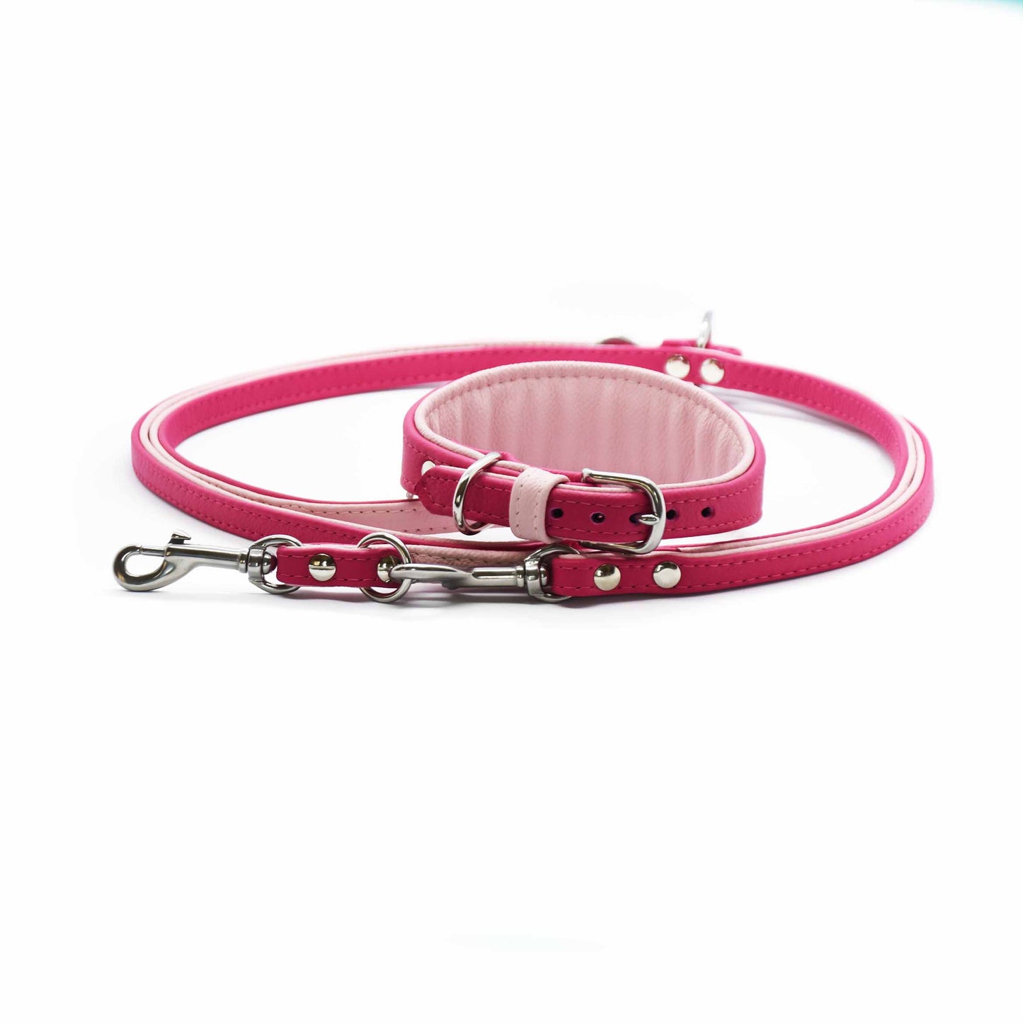 Konfigurierbares Bioleder Set für Windhunde – stilvolle Kombination aus Leine und Halsband in Wunschfarben