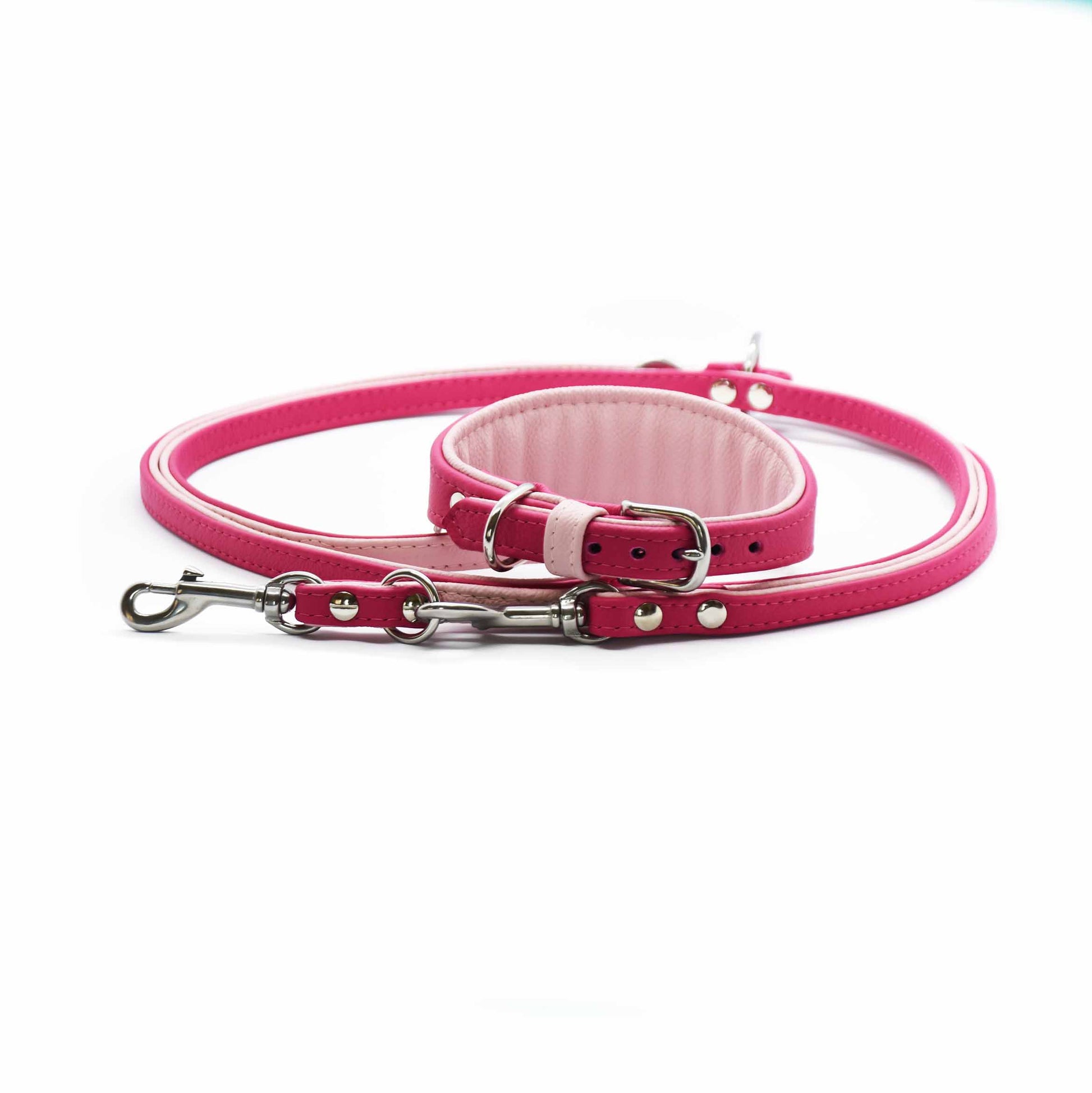Konfigurierbares Bioleder Set für Windhunde – stilvolle Kombination aus Leine und Halsband in Wunschfarben