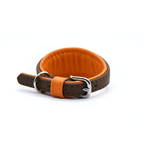 MINI Basic Welpenhalsband für kleine Hunde