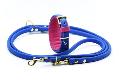 Halsband + Leine Set Windhund • konfigurierbar