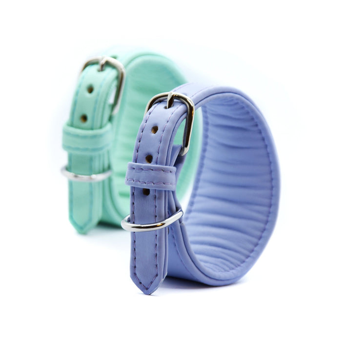 Basic Windhundhalsband