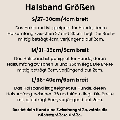 CLASSIC WIDE Fettleder Windhundhalsband | Maßgefertigt & robust