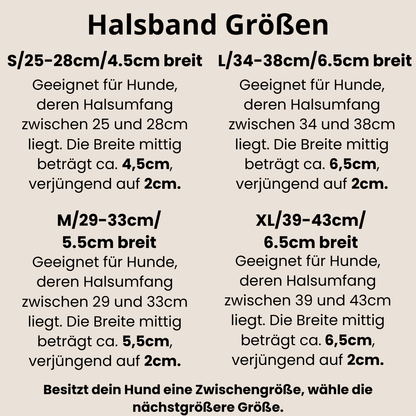 I WOOF YOU Windhundhalsband | Geschirrleder Halsband