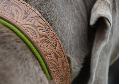 detailreiche florale Lederprägung am Hundehalsband