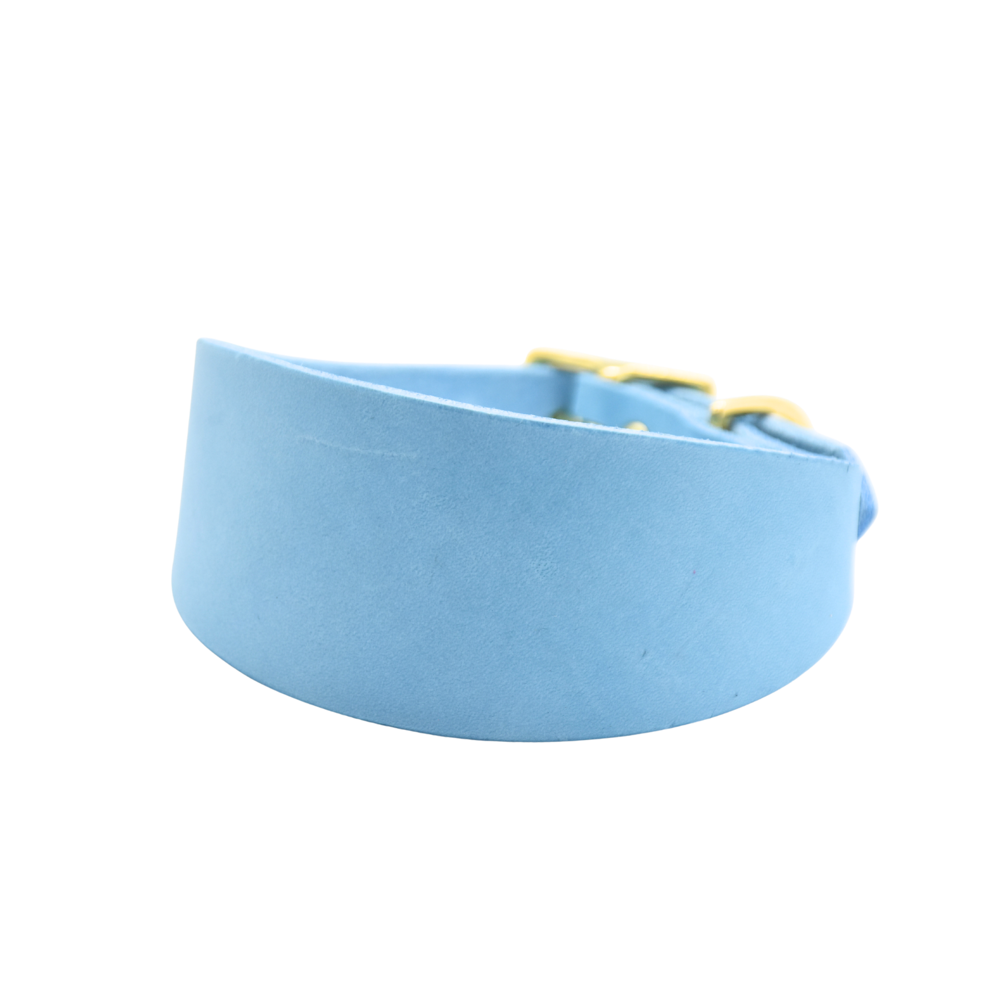 Breites Windhundhalsband aus himmelblauem Fettleder mit edlen Messingdetails