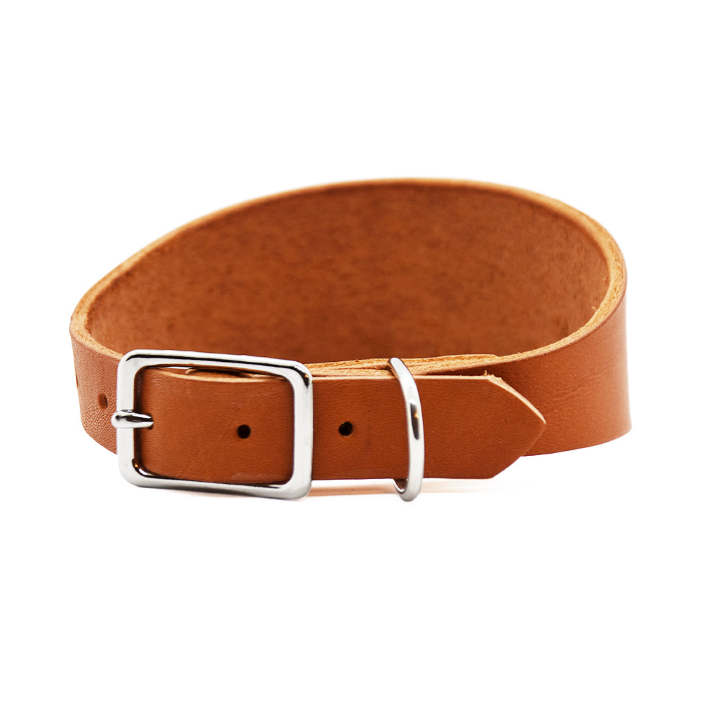 Individuelles Windhundhalsband mit Edelstahlbeschlägen