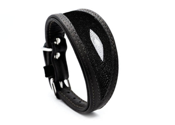 Rochenleder Hundehalsband Windhund