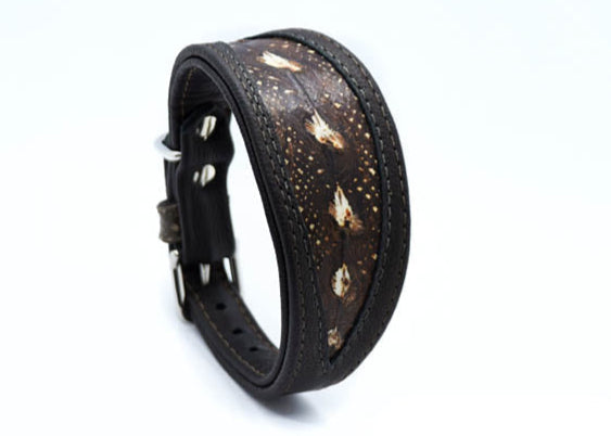 Störleder Hundehalsband Windhund