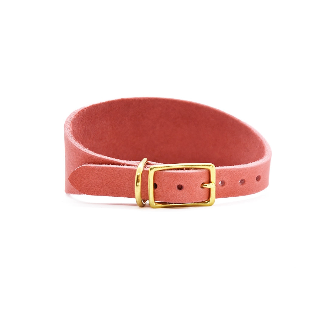 Leckerlibeutel/Gassisackerlbeutel