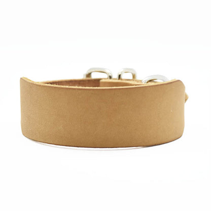 Leichtes Windhundhalsband aus Fettleder für Italienisches Windspiel