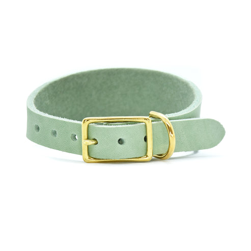 Fettlederhalsband für Welpen weich und anschmiegsam