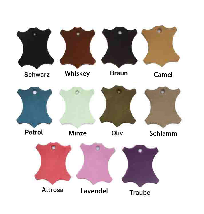 Showleine mit Kehlkopfschutz • Ausstellungsleine für Hundeshows