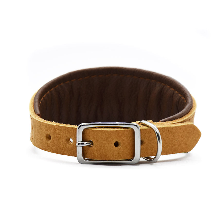 Gepolstertes Fettleder Windhundhalsband mit Nappaleder Unterfütterung