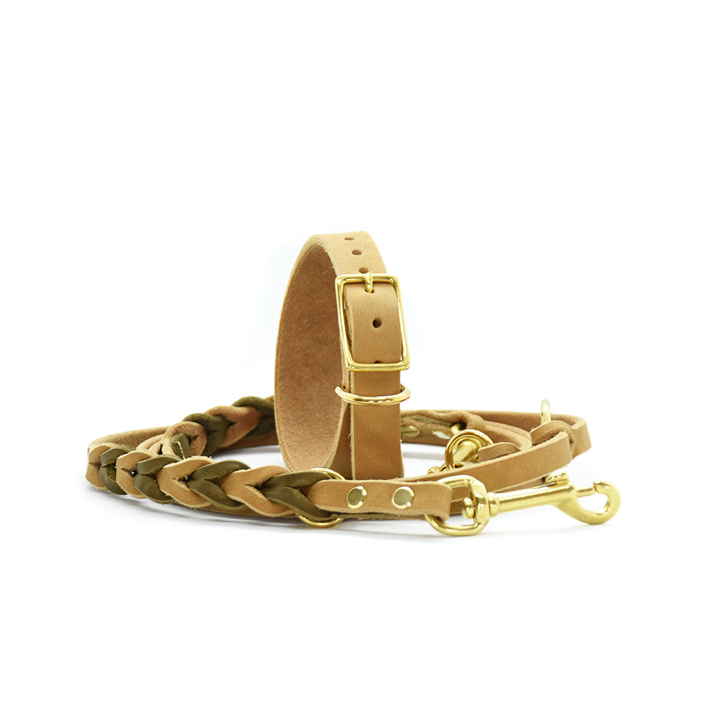 Set FETTLEDER • Breites Windhundhalsband und geflochtene Leine