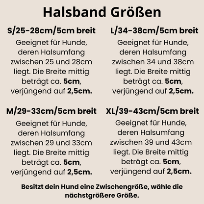 Tabelle zur Wahl des richtigen Halsbandes beim Hund