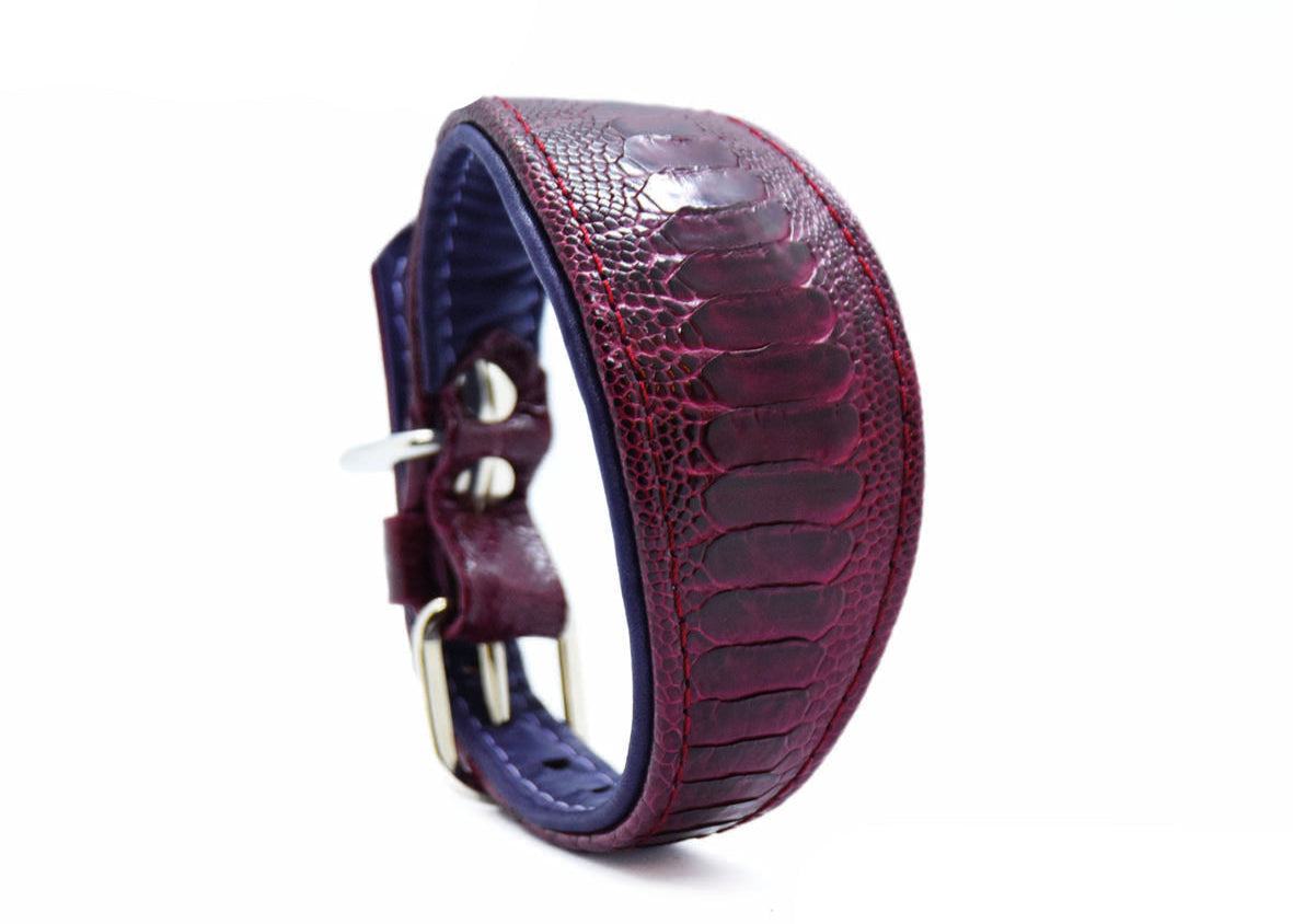 Straußenbeinleder Hundehalsband Windhund