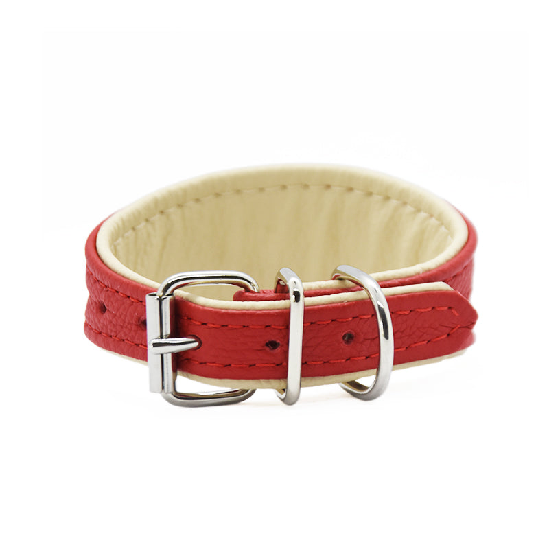 Mini Basic Lederhalsband für Italienische Windspiele