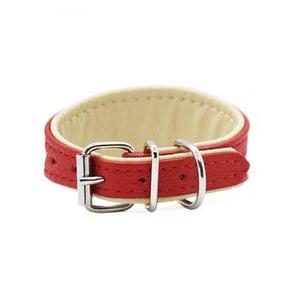 Mini Basic Lederhalsband für Italienische Windspiele