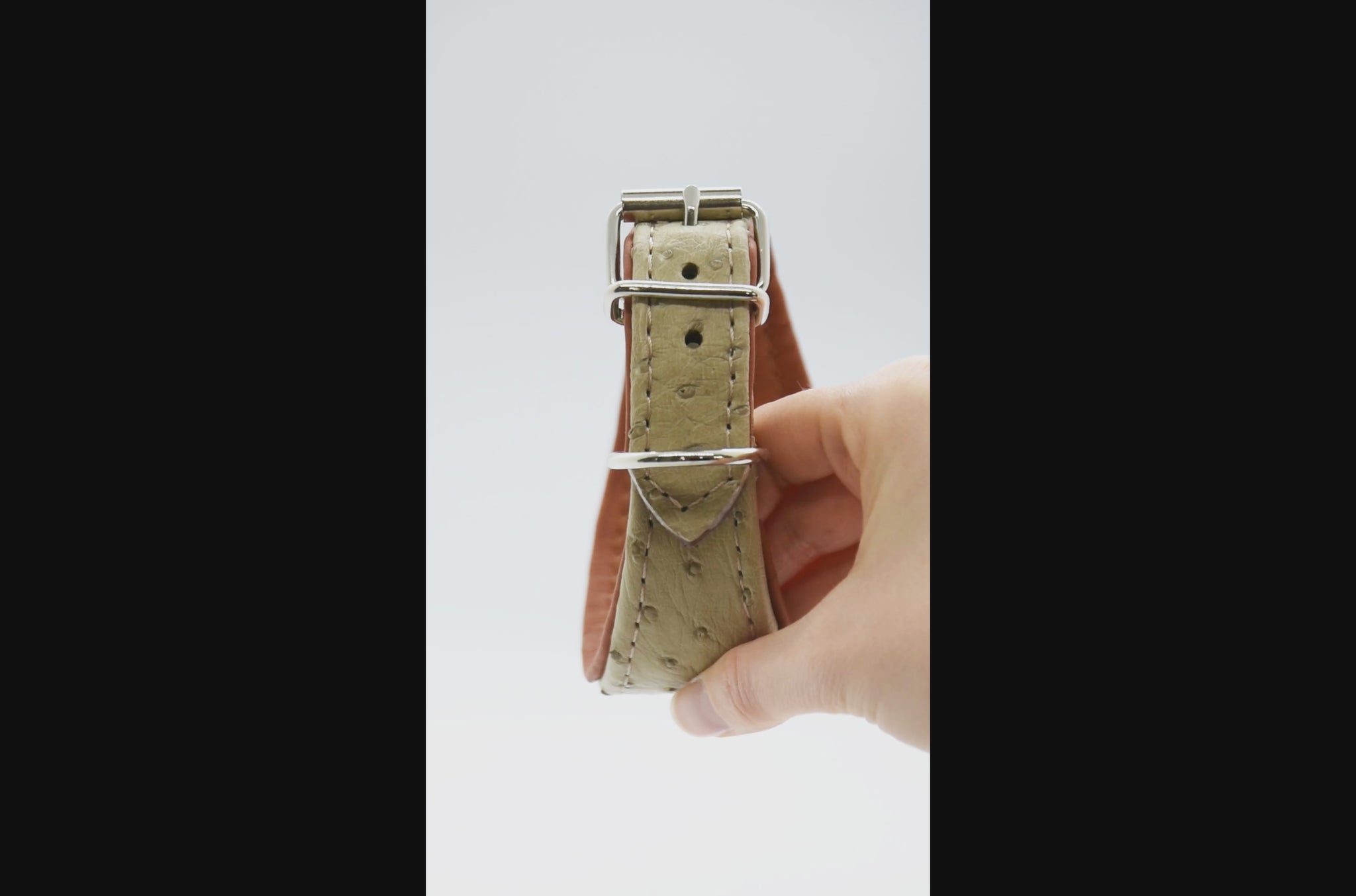 Hochwertiges Lederhalsband für Whippets aus Straußenleder
