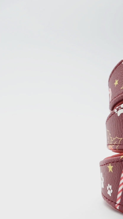CHRISTMAS Edition 2025 Windhundhalsband | limitiert