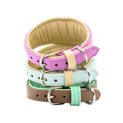 BASIC Windhundhalsband・Bio-Nappaleder・Maßgefertigt, gepolstert & breit