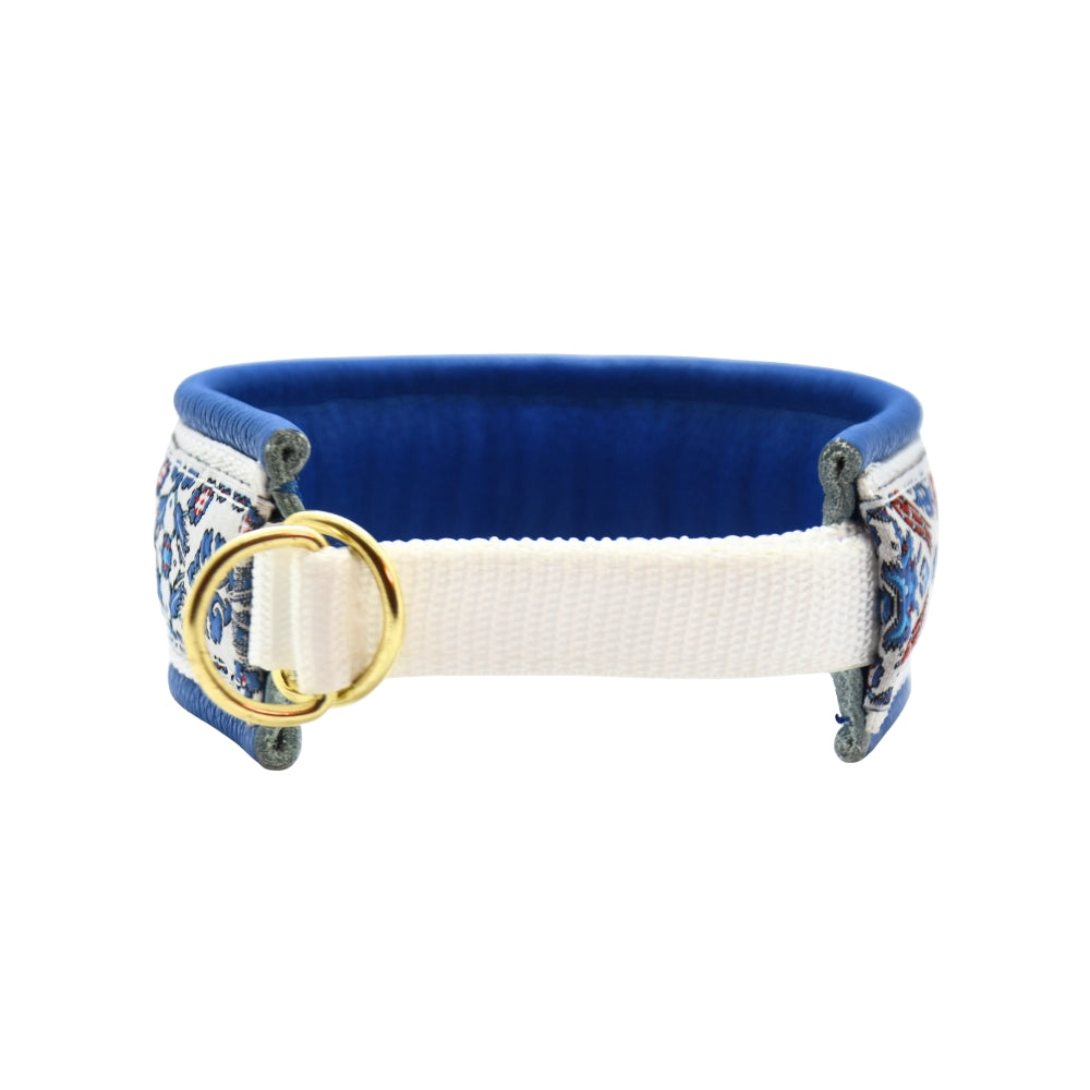 #6 Zugstopp Halsband 32cm Halsumfang, 38cm Kopfumfang