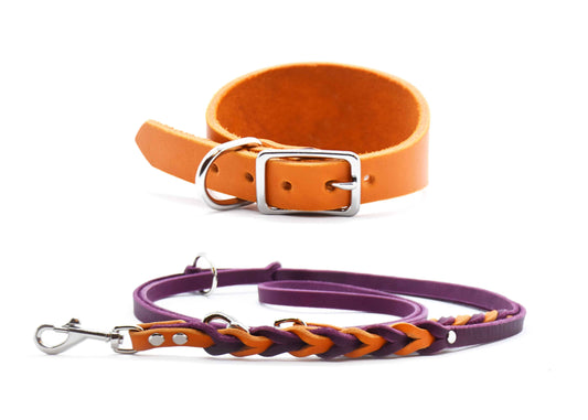 Set Fettleder • Halsband und Leine • Windhund