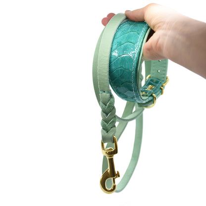 STRAUßENBEINLEDER Halsband・Exklusives Windhundhalsband aus Straußenleder mit einzigartiger Struktur