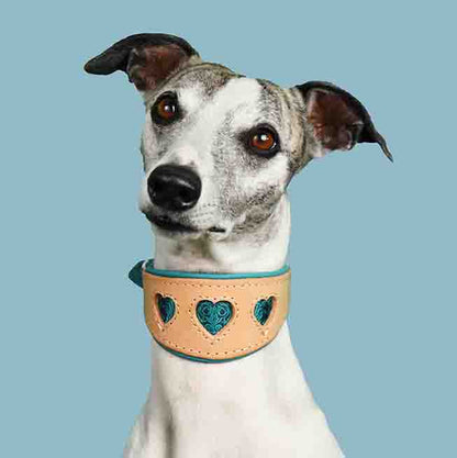 Whippet mit handgemachtem Lederhalsband mit Herzen