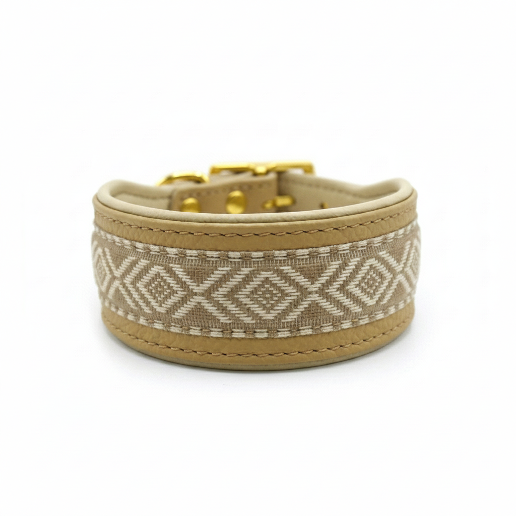Elegantes Windhundhalsband mit weicher Polsterung und dekorativer Borte